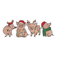 three pigs wearing christmas sweaters and hats