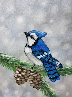 a painting of a blue jay perched on a pine branch next to a pine cone