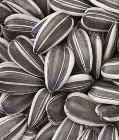 the seeds are black and white in color