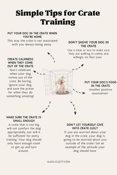 a white dog sitting in a cage with instructions on how to use it for training