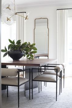 a dining room table with chairs and a plant in the center on top of it