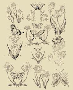 some flowers and butterflies are drawn in black ink on a beige background with white writing