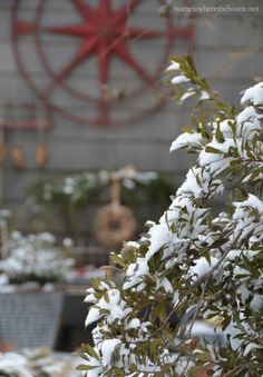 snow covered branches in front of a building with a large clock on the wall behind it