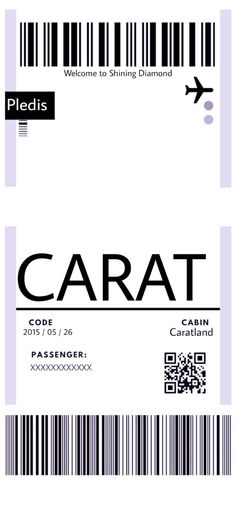 an airline ticket with the word carat on it