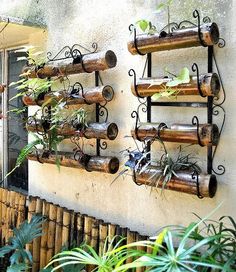 there are many pots and plants on the wall