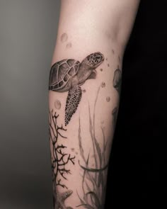 a woman's arm with a turtle and seaweed tattoo on the left forearm