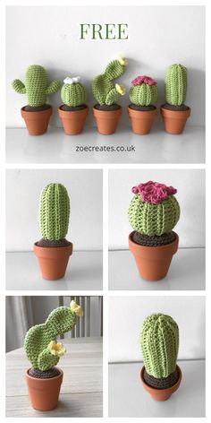 crocheted cactus in flower pots with free pattern