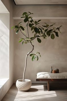 a potted plant sitting on top of a wooden table next to a bed in a room