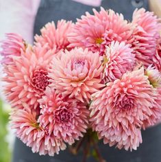 a person holding a bunch of pink flowers in their hands and wearing an apron on the other side