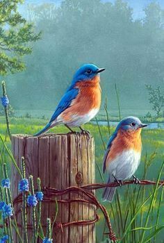 two birds sitting on top of a wooden post next to blue wildflowers in a field