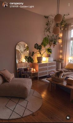 a living room filled with furniture and lots of plants on the wall next to a mirror