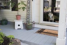 a dog is looking out the front door from his porch with potted plants on either side