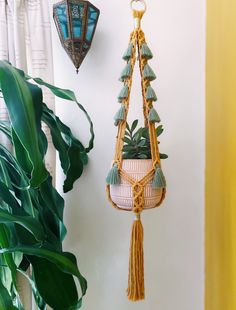 a plant hanging from a wall next to a potted plant on a hook with tassels