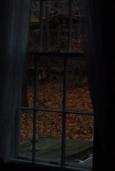 an open window in the dark with leaves on the ground outside and trees outside it