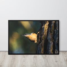 a bird perched on top of a tree trunk