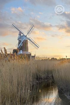 a windmill in the middle of a field with tall grass and reeds at sunset