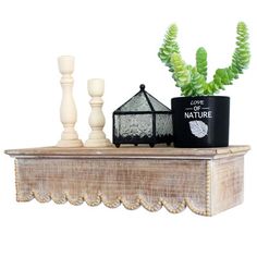 a potted plant sitting on top of a wooden shelf next to a candle holder