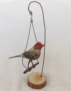 a bird sitting on top of a piece of wood next to a chain hanging from it's neck