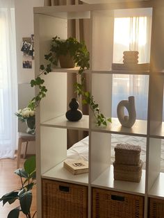 a living room filled with lots of furniture and plants on top of bookshelves