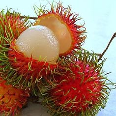 rambutan fruit with ice cubes on the top and green spiky leaves