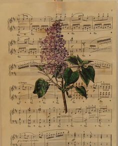 an old sheet with music notes and a purple flower on the top, surrounded by green leaves