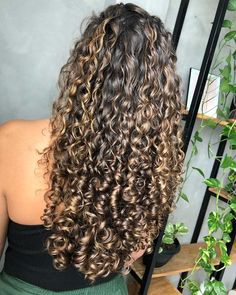 Hair Dye For Curly Hair Highlights, Brunette Curls With Highlights, Lowlights For Brown Hair Curly, Light Brown Balayage On Dark Hair Curly, Highlights On Curly Dark Brown Hair, Light Brown Curly Balayage, Caramel Balayage Wavy Hair, Caramel Honey Blonde Highlights, 2c Highlights