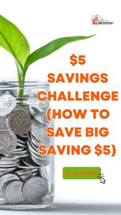 a glass jar filled with coins and a green plant growing out of it that says $ 5 savings challenge how to save big savings