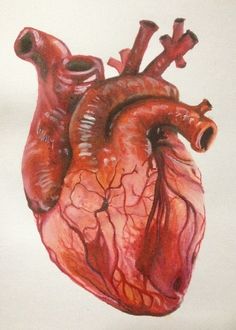 Alpha And Omega, Lino Art, Výtvarné Reference, Artist Working, Human Anatomy Art, Blood Art, Arte Obscura, Human Heart