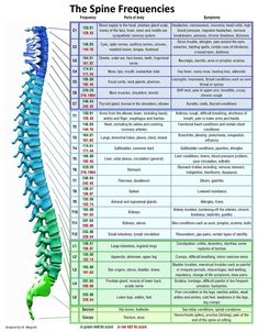 Spine Frequencies, Book Songs, अंग्रेजी व्याकरण, Spine Health, Healing Codes, Healing Frequencies, Medical Anatomy, Energy Medicine, Body Anatomy