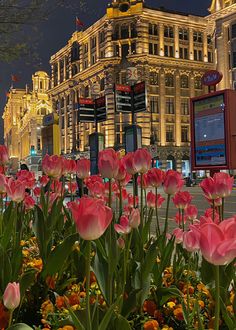 pink and yellow flowers in the middle of a city street at night with buildings in the background