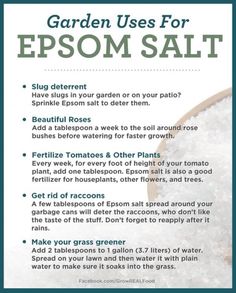 a recipe for epsom salt is shown in this poster, which shows how to use it