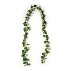 ivy garland with white flowers and green leaves hanging from it's sides on a white background