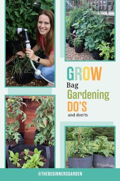 grow bag gardening Grow Bag Garden, Garden Hacks, Thriving Garden, Grow Bags, Do's And Don'ts, Summer Vegetable, Grow Your Own Food, Potting Soil, Gardening For Beginners