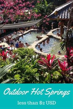 an outdoor hot springs with people swimming in it and flowers around the pool, surrounded by trees