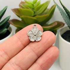 This set of silver-toned flower charms is perfect for your next jewelry-making project. Crafted with double sided details, these small charms come in packs of 4, 20, or 50 pieces. Their exquisite design is sure to bring your work to the next level. -13 x 16 mm-Zinc Alloy Contains small parts. Not intended for children. Flower Cute, Daisy Charm, Silver Elephants, Jewelry Making Project, Silver Tree, Elephant Charm, Small Charms, Cute Charms, Get Excited