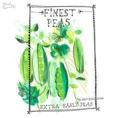 a drawing of peas with green leaves on it and the words finest peas extra early peas