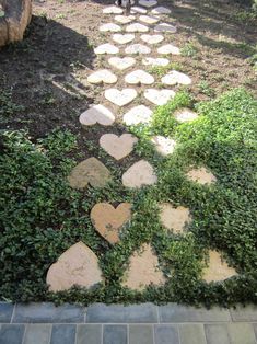 there is a stone path in the grass