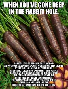 Purple Carrots, The Rabbit Hole, Food Facts, Rabbit Hole, The More You Know, The Rabbit, History Facts, Real Food, Health Remedies