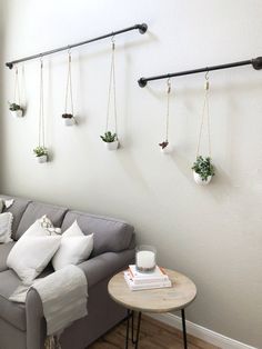 a gray couch sitting next to a white wall with hanging planters on the wall