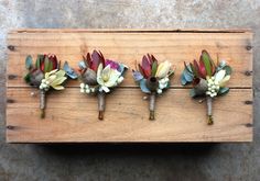 five flowers are arranged on a piece of wood