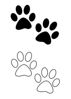 an animal paw prints on a white background