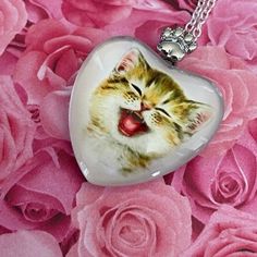 a cat with its mouth open and tongue hanging from a heart shaped necklace on pink roses