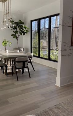 a dining room table with chairs and a potted plant in the corner next to it