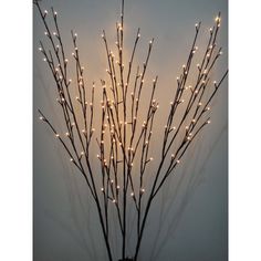 lighted branches in a vase against a wall