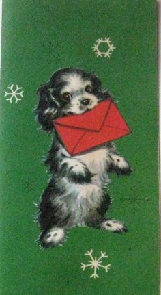 a small dog with a red envelope on it's back sitting in front of snowflakes