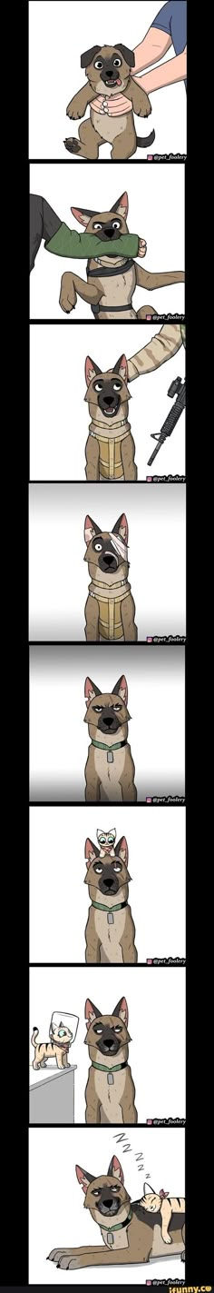 TimeDrawn by Pet_Foolerypixiebrutuspet foolerypet_foolerycomicmilitary dogkitten Ein X Peirce Ship, Person Bowing Down, Monster X Human Ship, Funny Animal Comics, Funny Animal Jokes, Cute Stories, Dessin Adorable, Animal Jokes, Cute Animal Drawings