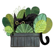 a black cat sitting on top of a planter filled with green leaves and plants