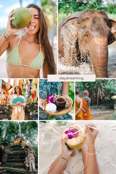 Collection of images featuring moments in Thailand. Model is wearing a bikini and holding a coconut. Elephant is bathing in water. Model is standing in front of lanterns and holding a fan. Model is holding ethnic foods from Thailand. Image of monks. Image of temple. Image of model holding a coconut.