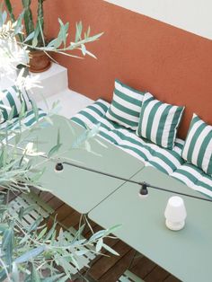 a green and white couch sitting on top of a wooden floor next to a plant