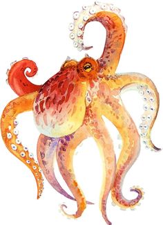 an orange and white octopus with bubbles on it's back legs is standing in the water